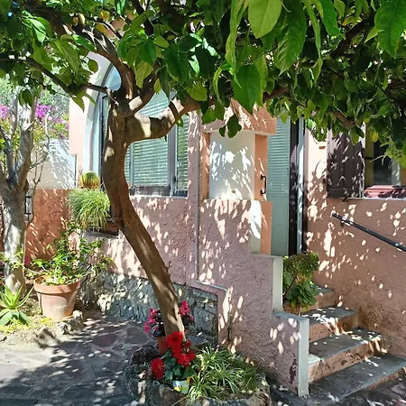 Nid Douillet Dans Un Ecrin De Verdure بيت للعطل